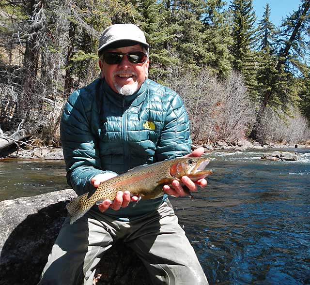 Taylor River Rainbow Trout