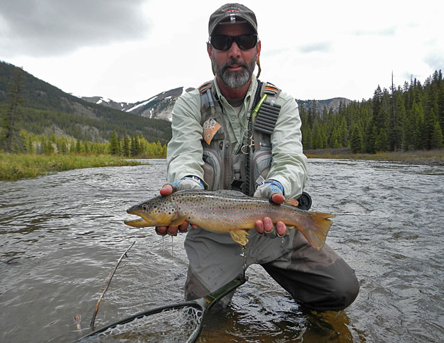 Beaver Pond Brown Trout