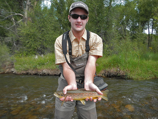 Gunnison River Brown Trout