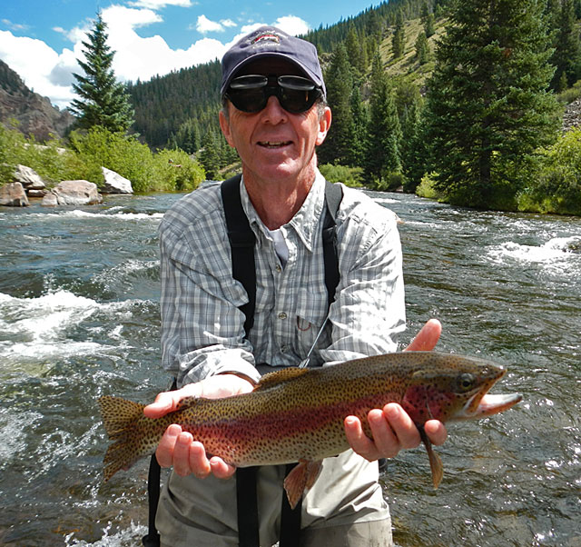 Taylor River Rainbow Trout