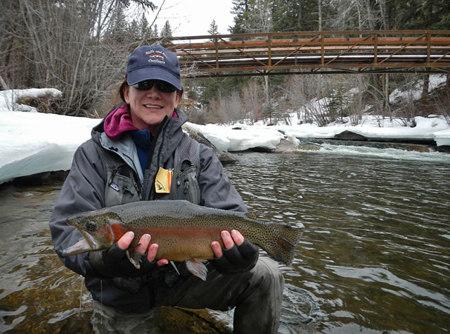 Peri with a nice rainbow