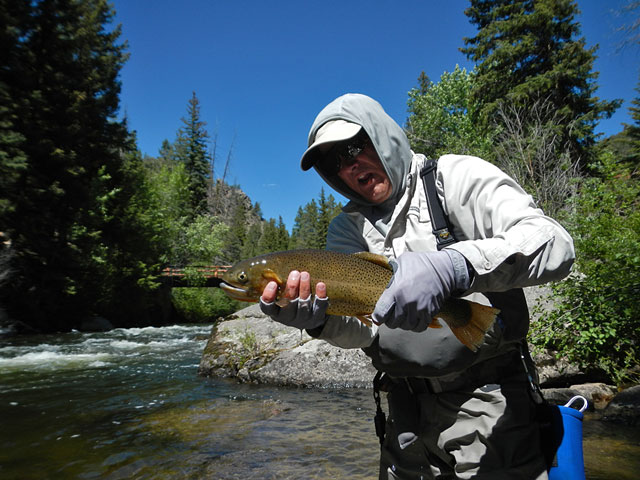 Taylor River Cutthroat