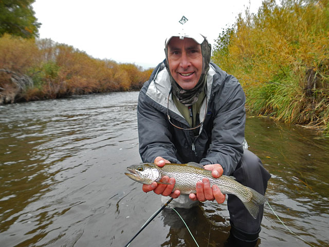 Tomichi Creek Rainbow Trout