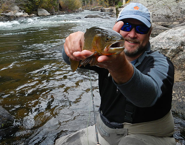 Taylor River